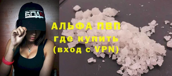 стаф Пересвет